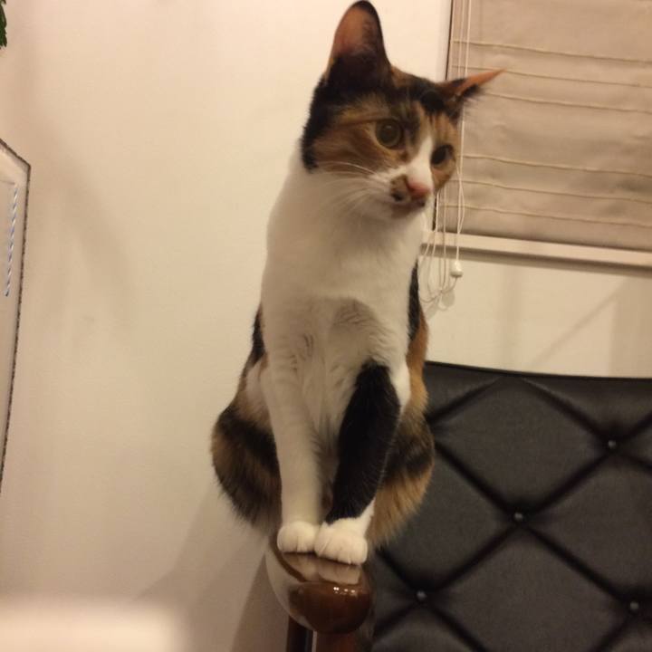 130e76ca a3c5 43c6 a86d 9a9f1eab9fc8