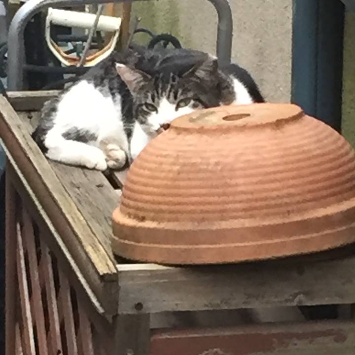 130eb12e dce4 4b2a a16c 23cdd0f59878