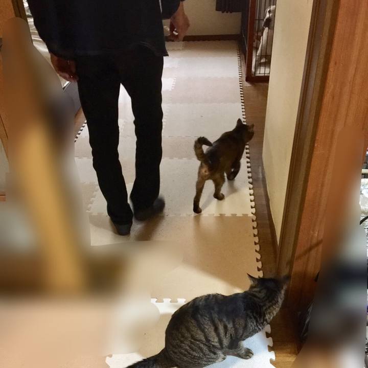 130f3466 227c 47cf b737 d57842a4eb97