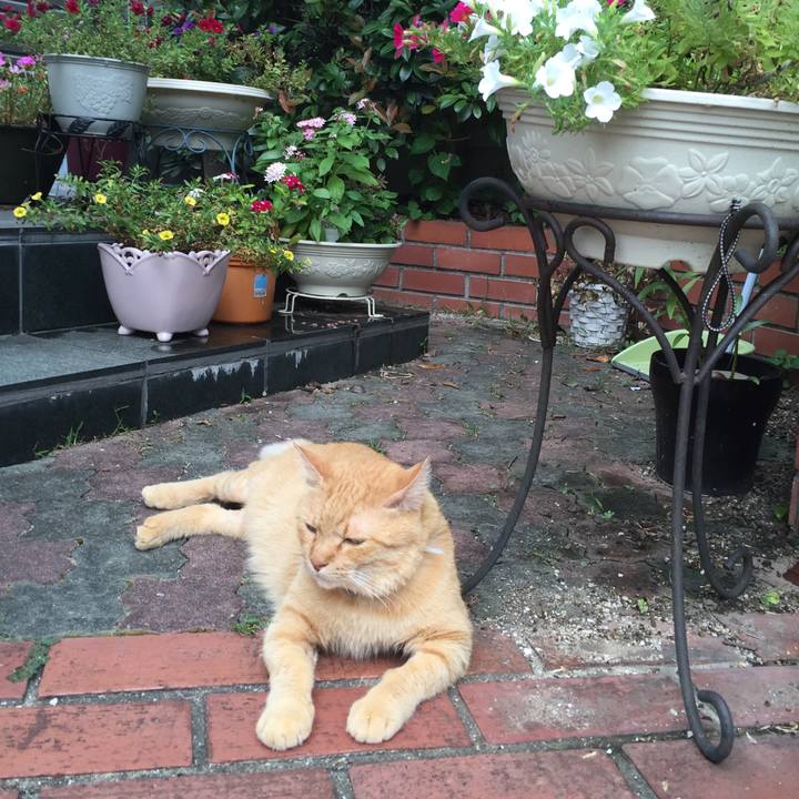 130f4461 5e8e 42fc 8d47 85f73c3d4f9b