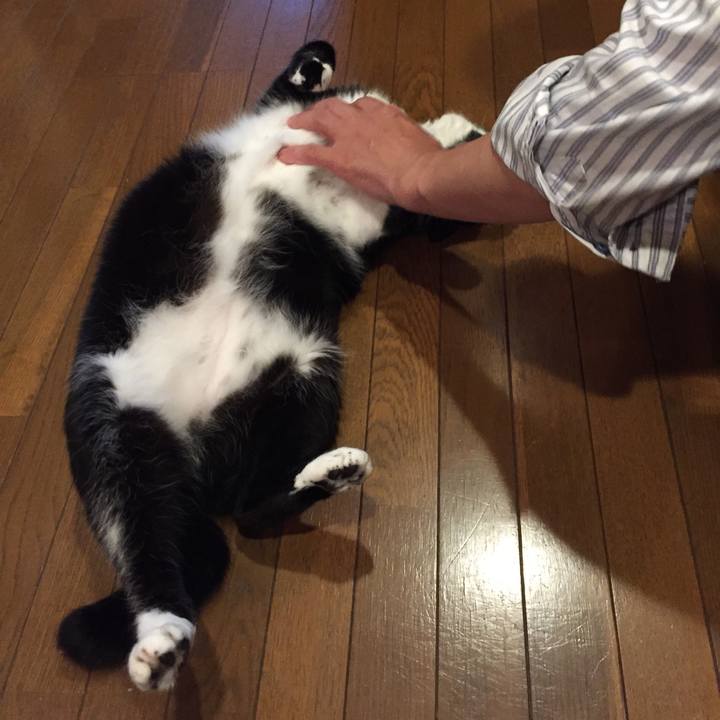 13106416 fca8 44dd bcac e733f3bd319d