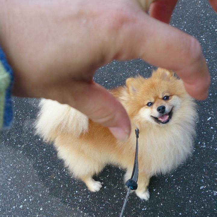 131105d1 404f 48a1 a7e8 69b687dcfb29