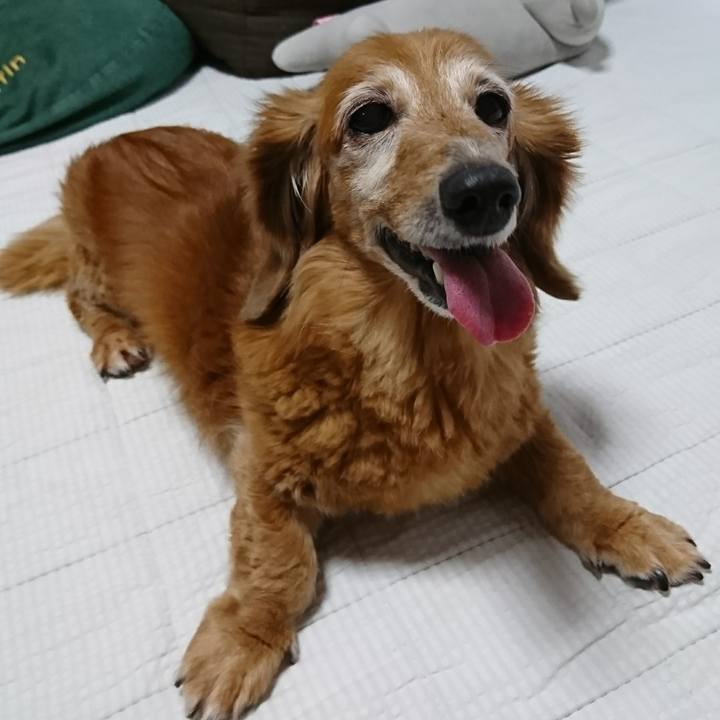 13121f64 38ab 4857 97be e2f58bcb5bac