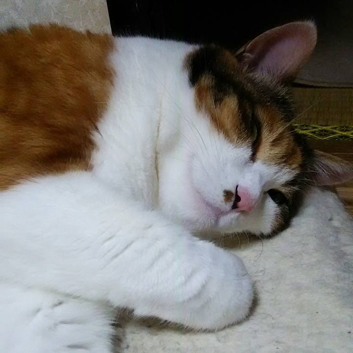 1312699c dfe5 4f0b abdb 7c15e660deeb