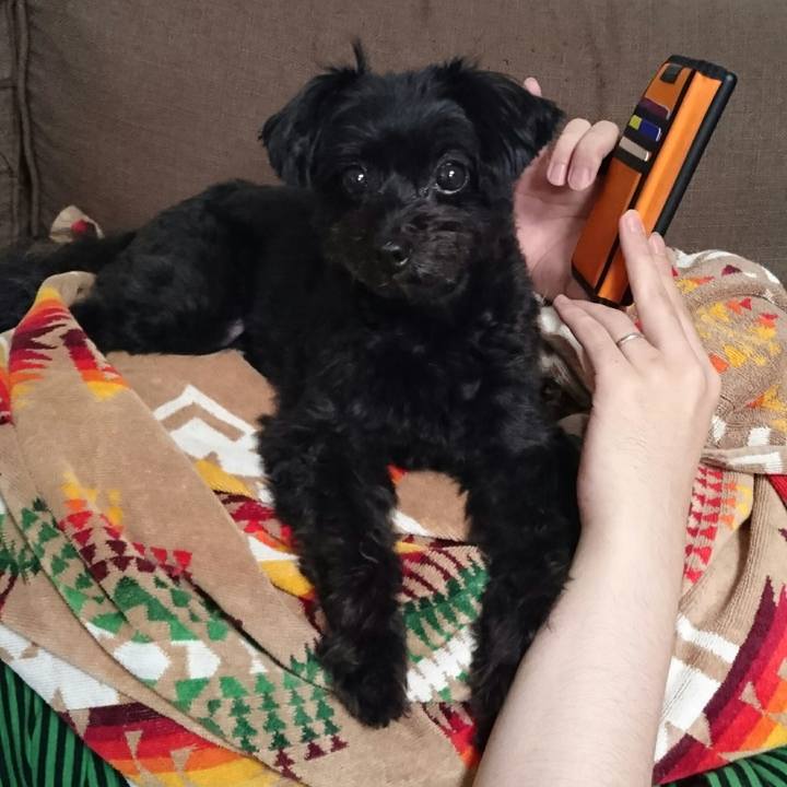 1312dc74 cac5 46fd 9282 901664398519