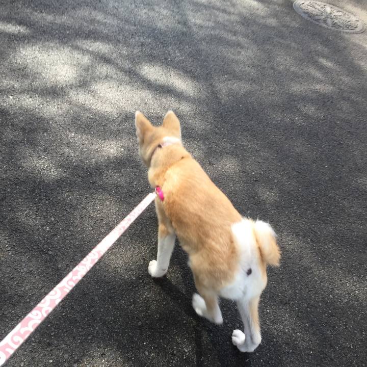 13133f11 0949 4990 84b1 ffe2910ccacd