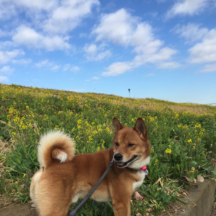 13135ae3 bb6f 4640 82af 98062a1d28cb