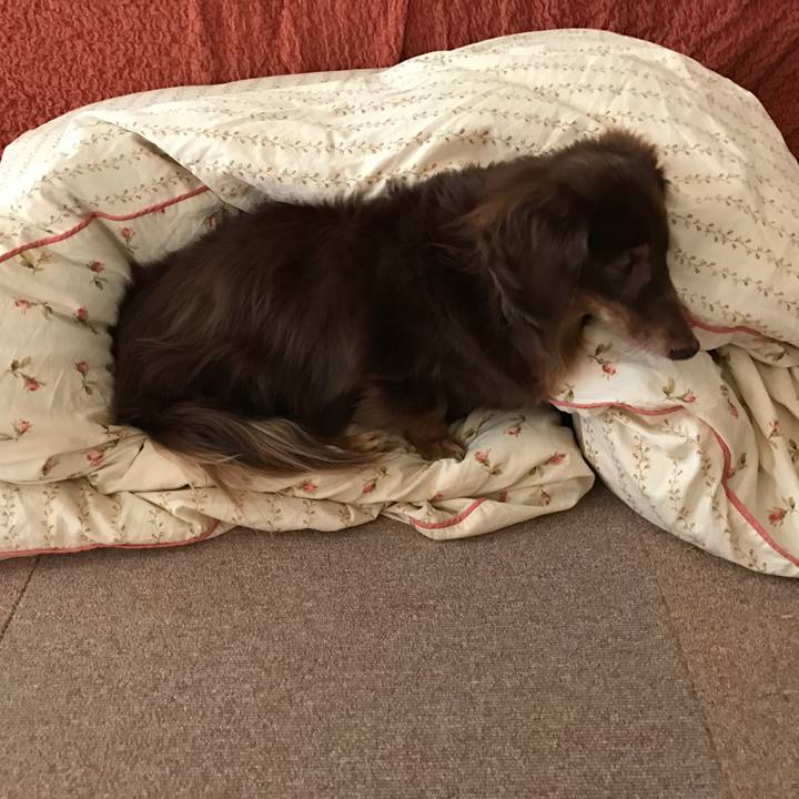 13145819 00f5 49fc 9dba 8c46d8f0f00c