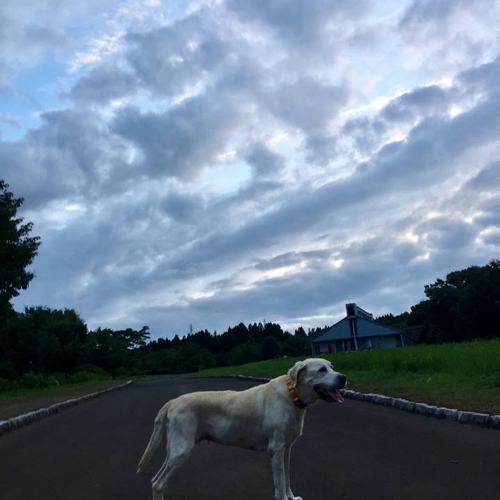 13152f8b a97e 47d9 bdfc 90a9da20f37f