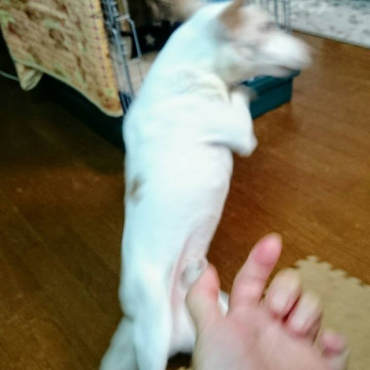 13154f00 4634 421b be5f 35d7fcbbb137