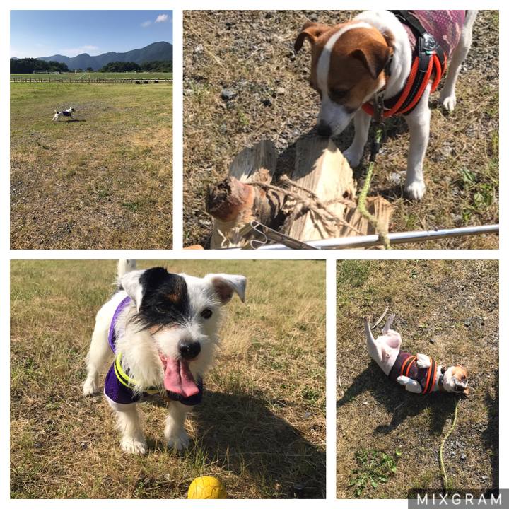 1315fd08 54a9 4f5c 8f8d 62c4eea5483c