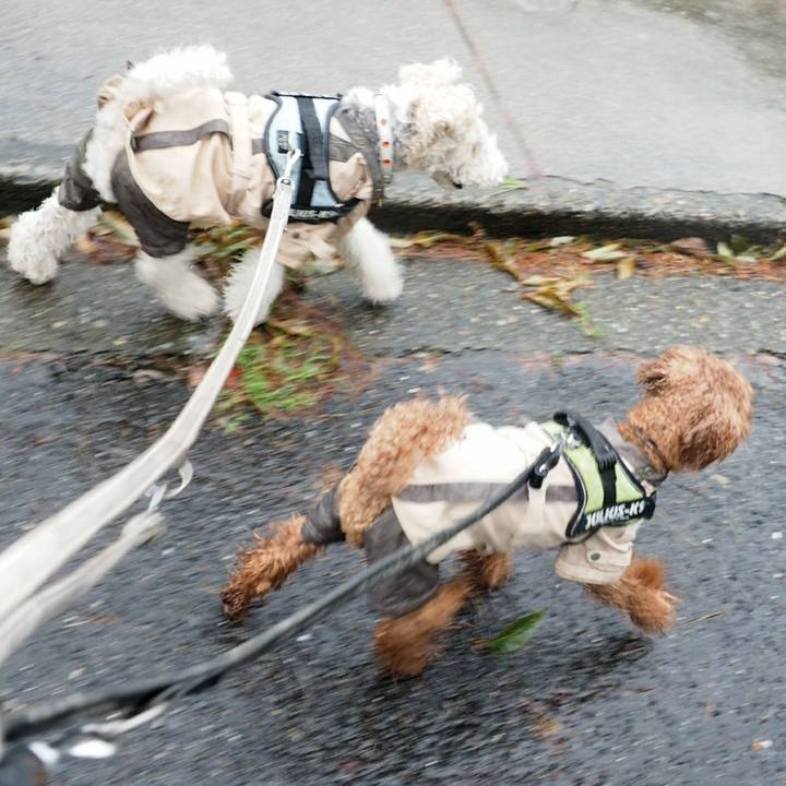 13168b1a 9719 4da1 9711 9c956d1224d1