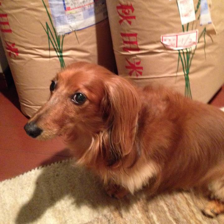 1316bba5 053f 418a 9150 d5e22d3d2ba2