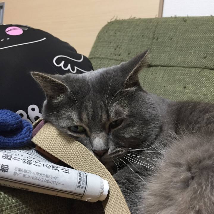 1316df08 9f63 4905 8436 3cc4588064eb