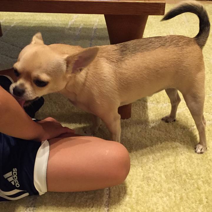 131864cc 064d 4d9a 8c4d e5cf15b587c7