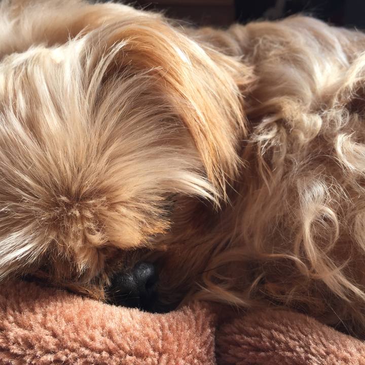 13188aa9 462a 4359 8c76 2804d09700c5