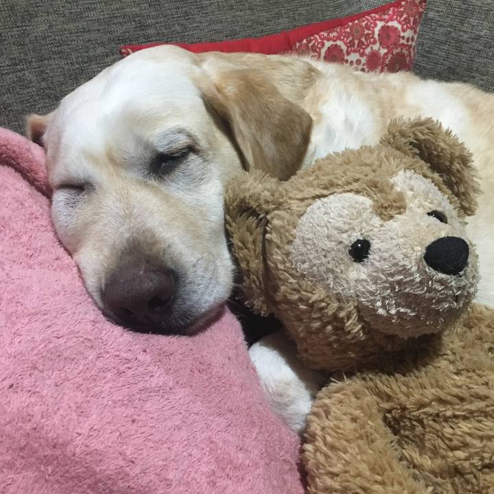 13193872 5994 4b90 a36d 98cb7022a413