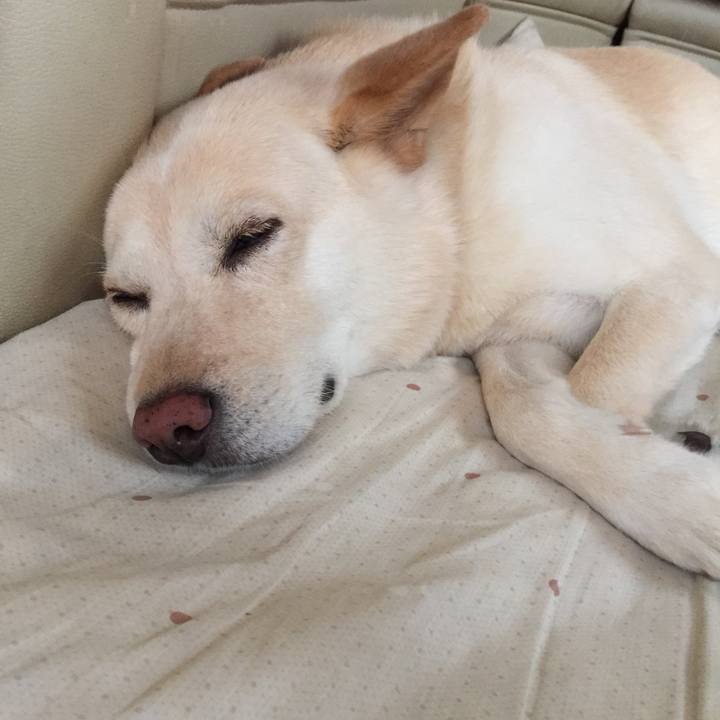 131a0953 1d9b 43dc b31d 3544f6b06950