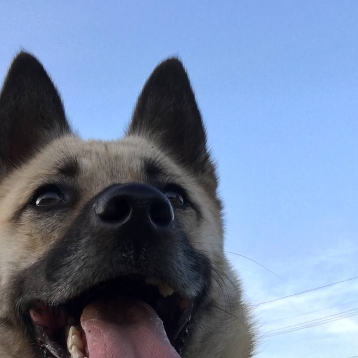 131a2a6a d83f 45f9 87d4 28a989fb4109