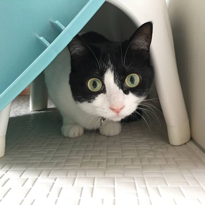 131ad3ac 9243 4609 9f61 744a91c4fb05