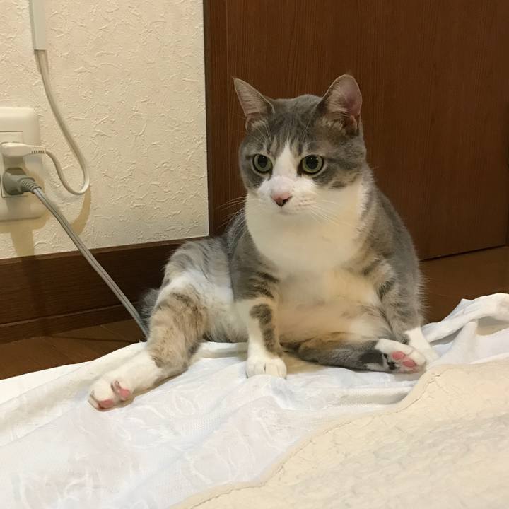 131b4fad 11e8 46f5 a394 06aa231c0727