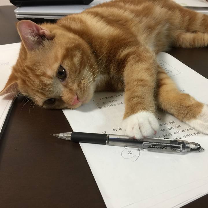 131b5acb 1f03 4e8b 9555 b6a55630f6e9