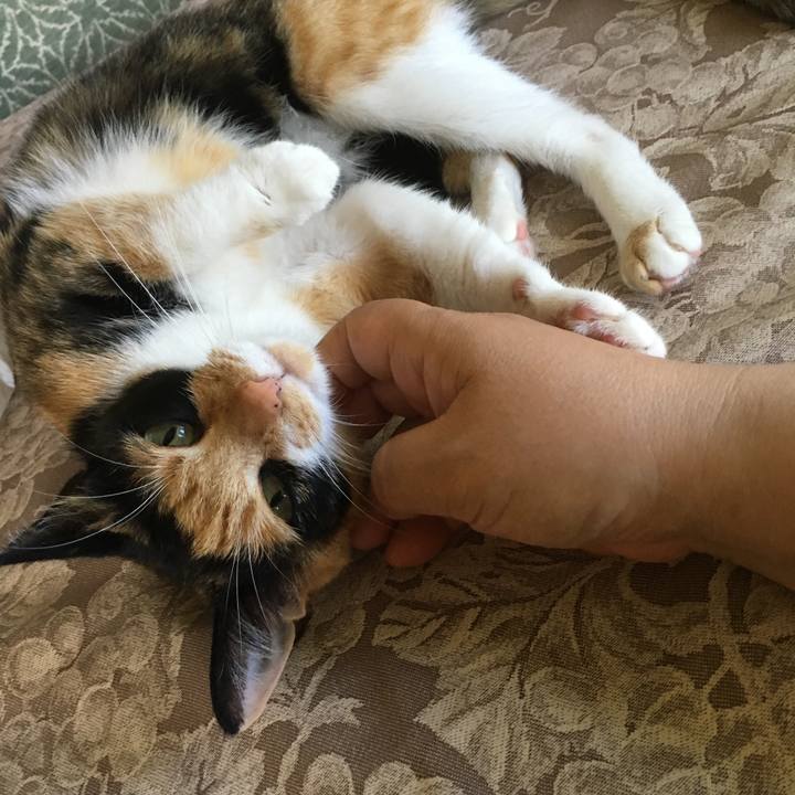 131bb9b3 df9c 491e b490 665c35902c39