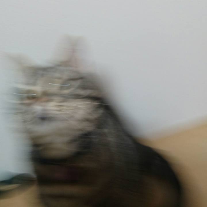 131bc0a0 62ec 482d 8c8c 1948822525c1