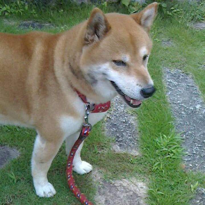 131c5f19 6854 49b6 9026 928deb5cb031