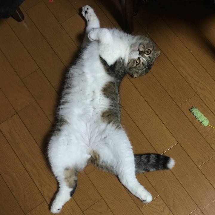 131c846f 8d3a 42f2 834e 528d04680d65