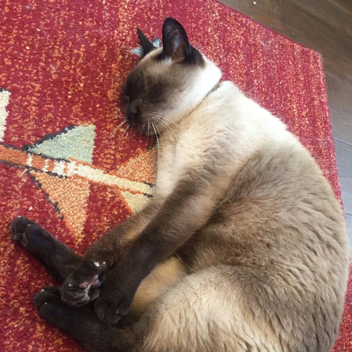 131cb886 c047 4bc5 8e0a 4c2449c926e5