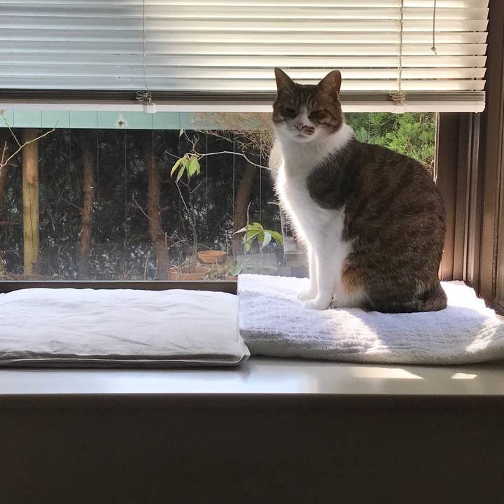 131d3356 b5db 46c7 ba47 431a3569f322