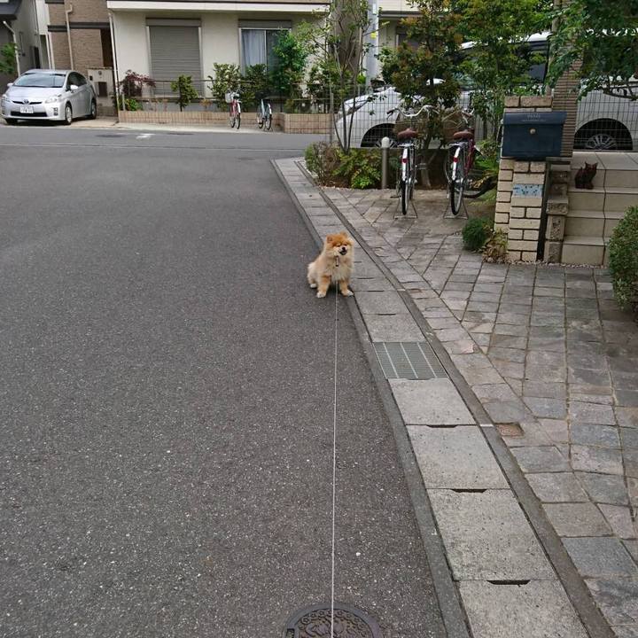 131d7820 e42c 4d6e b547 8986246faef3