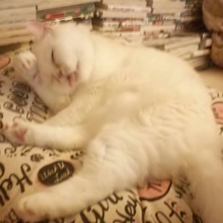 131dbbc9 9e16 46bf 8a85 dc6834c9ea71