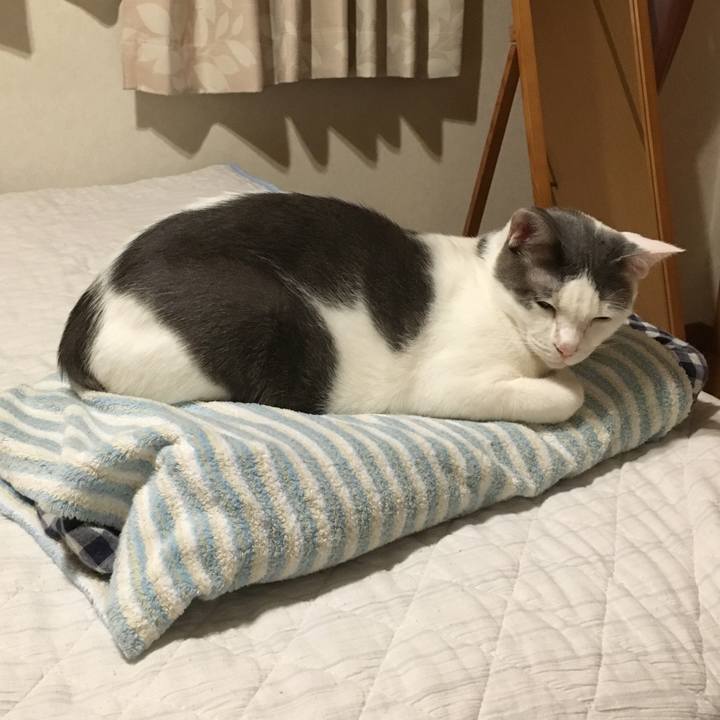 131e0d06 bf74 46b9 a63a 81cb1b5af9d5