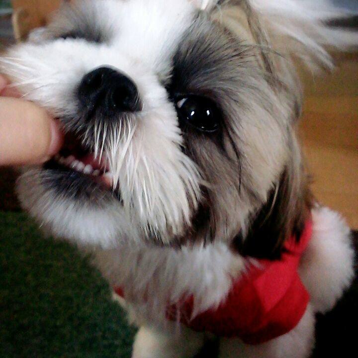 131ebb33 1f33 4150 854e 135d1f982d19