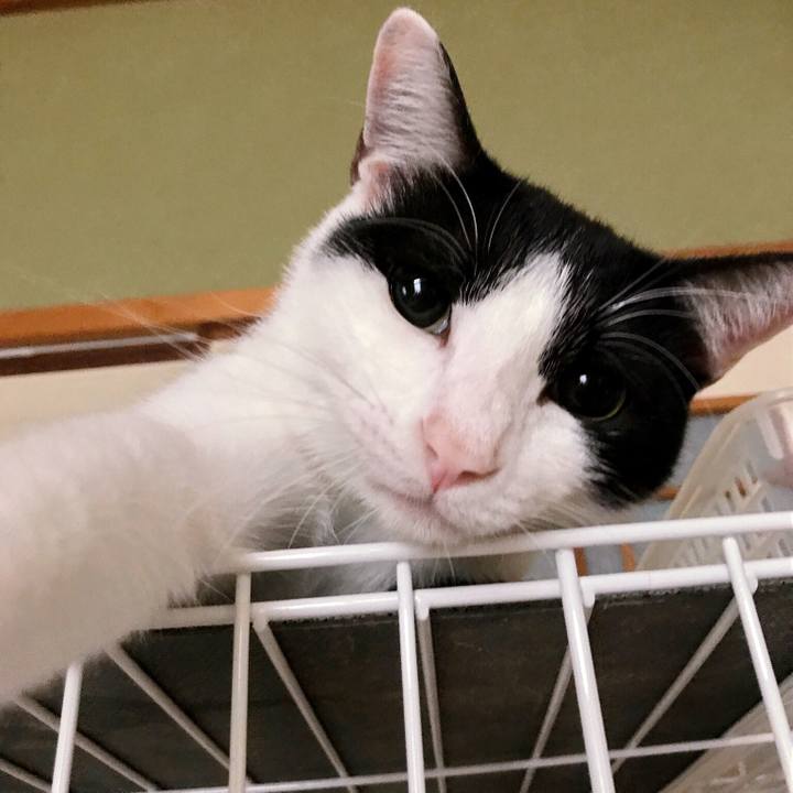 131efd14 8de4 45c0 90db b8b44ef48a54