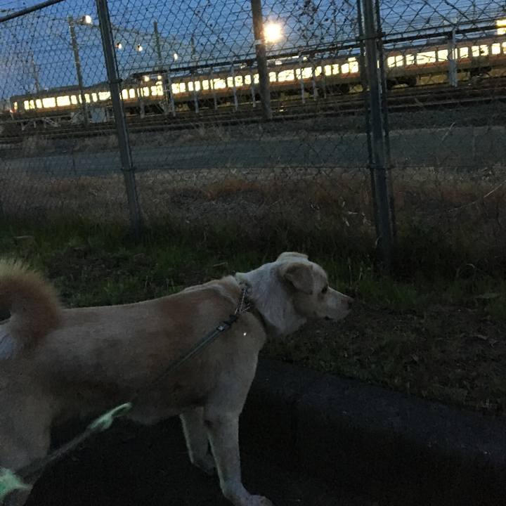 13200319 bcce 43ea 99b8 bb0e7a2421ad