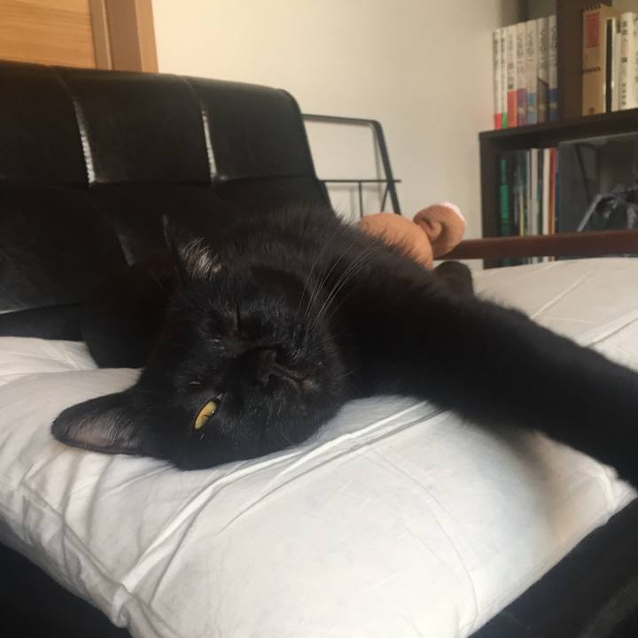 13204e2e 4b4c 4365 8e61 9449b7b45483