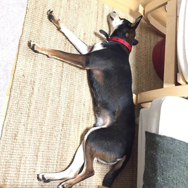 1320ec34 f80f 4cda a2c3 bdb65080637d