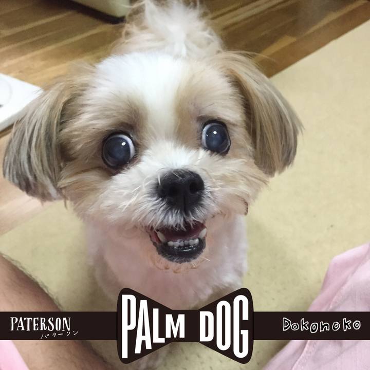 13213b12 739d 4ea7 88fd 1a5d2a5431cc