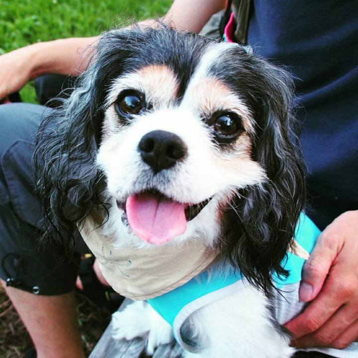 13215667 2c7f 4ccc 9dcd 450bec32ef0a