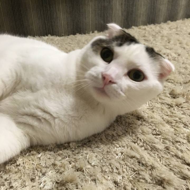 132195ef b212 4ddd 9f38 6dfafcab9024