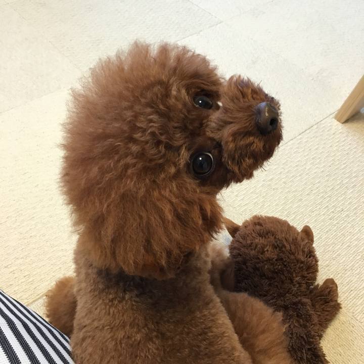 1321b3f2 303e 4d16 9d24 ac504215e94e