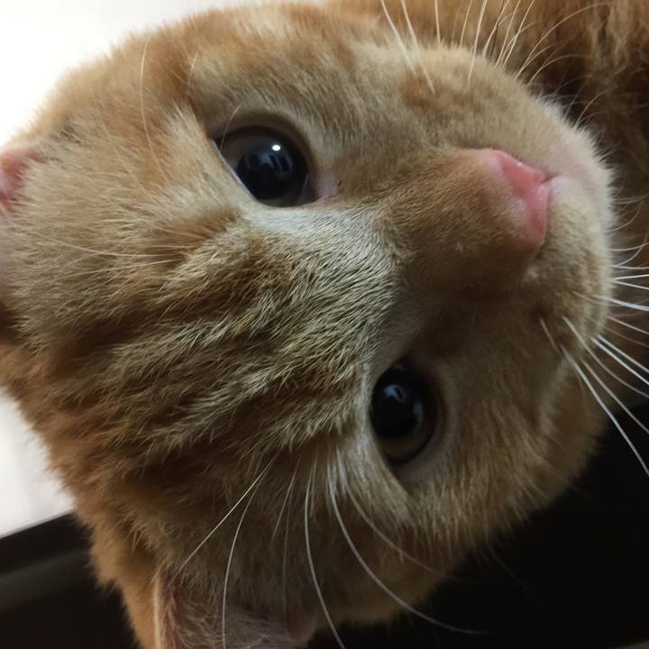 1321e93e 460c 42f9 bc9b 1c9e1d5ff9ee