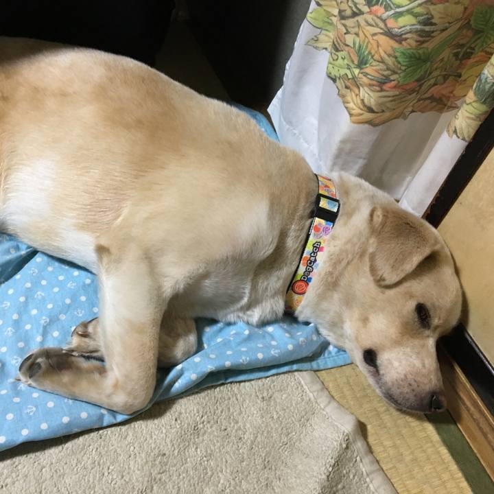 13227ed7 efa3 402b b5b8 c0c737c5eae6