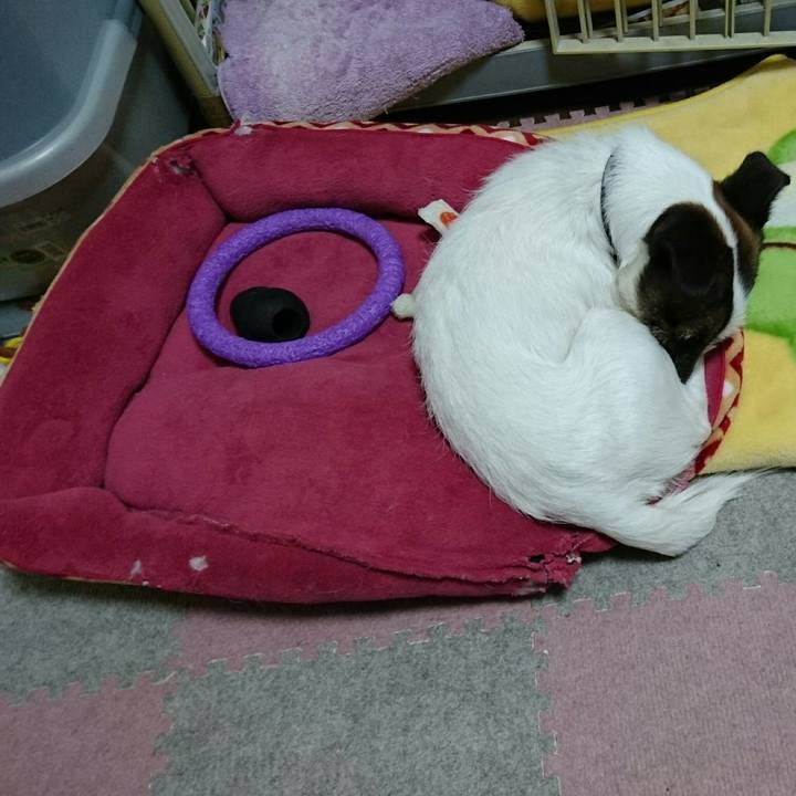 13233d26 ccd1 47bf bd4d 022ddc1321ca