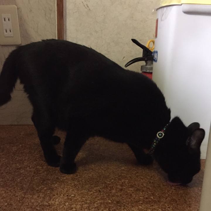 1323c3d9 6ba9 49cb 9e38 9a36b507a4aa