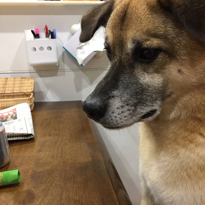 1323e587 f1fa 4a16 8c7c 75759550d302