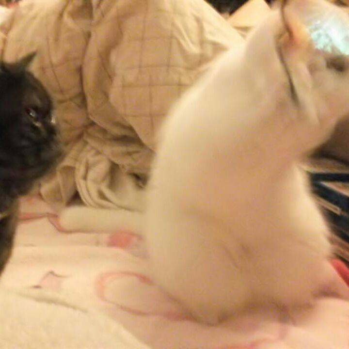 13241cd1 b406 48f4 a58e a231a90a70d9